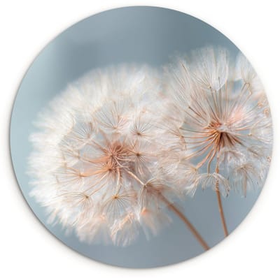 WallCircle® Wandcirkel 120x120 cm - Muurcirkel Paardenbloemen - Pluisjes - Wit - Muurdecoratie woonkamer - Wanddecoratie slaapkamer - Kamer decoratie accessoires - Ronde schilderijen XXL