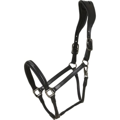 Leren halster voor paarden Catago Novi 25.2
