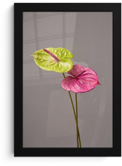 Poster in lijst - Fotolijst 20x30 cm - Posters - Planten - Anthurium - Groen - Roze - Posterlijst zwart - Decoratie - Wanddecoratie woonkamer - Muurdecoratie slaapkamer