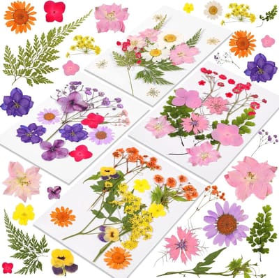 Dried Pressed Flowers Set van 46 Stuks voor DIY Kunst en Ambachten, Kaarsen Maken, Nageldecoratie en Telefoonhoesjes