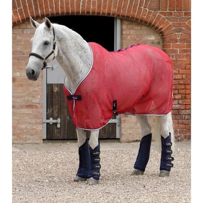 Transportlaarzen voor paarden Premier Equine Travel-Tech