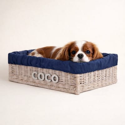 The Wicker Stories - Witte wicker honden - en kattenmand met navy rand en kussen – Handgevlochten in Europa – Personaliseerbaar met naam van je huisdier