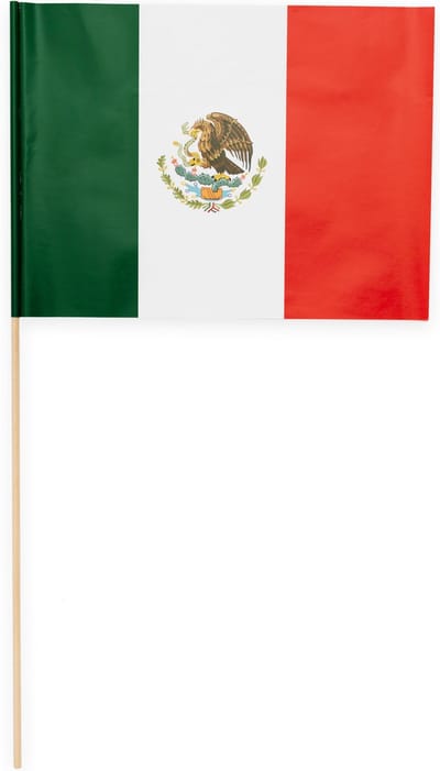 10 Papieren zwaai vlaggen 20 x 30 centimter Mexico