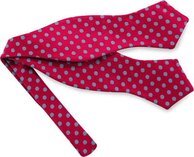 We Love Ties - Vlinderdassen - Vlinderdas Mr Stipple - rood / lichtblauw
