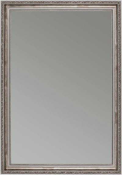 Wandspiegel met Frame - Antieke Spiegel Barok Spiegel - Interieur Decoratie - Handgemaakt in Duitsland - 60x180 cm - Grijs Zilver