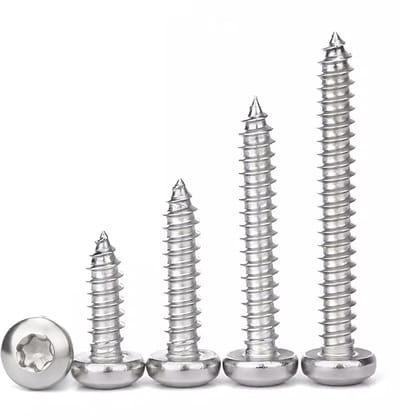 RVS Torx Houtschroeven M4 x 30 mm met Lenskop | Volledige Schroefdraad | 50 Stuks