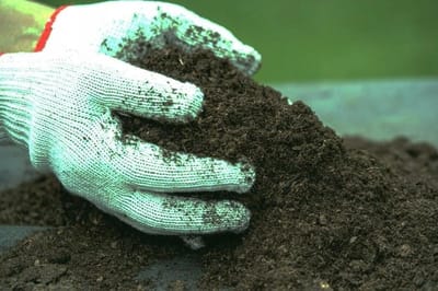 Universele Bodem - Compost Grond - Planten Kweken - Verrijkt Met Voedingsstoffen - 80 Liter - Bruin