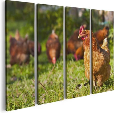 Artaza Canvas Schilderij Vierluik Kippen in het Gras - 80x60 - Foto Op Canvas - Canvas Print