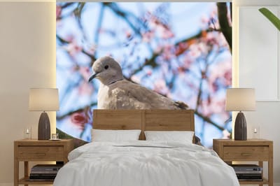 Behang - Fotobehang Vogel - Bloemen - Duif - Bloesem takken - Roze - Breedte 350 cm x hoogte 350 cm