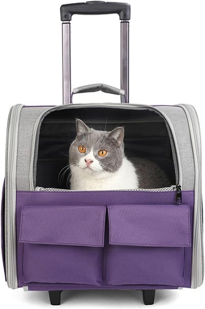 Huisdieren Drager Met Wielen - Reisrugzak Kat Hond - Comfortabel Reizen - Afneembaar En Opvouwbaar - 41x25x38 cm - Paars
