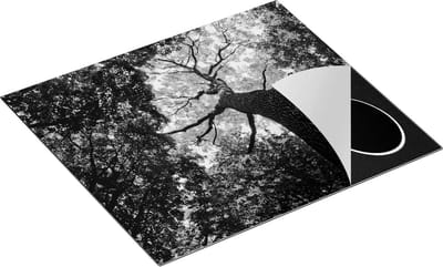 Chefcare Inductie Beschermer Boom in het Bos met Fel Groene Bladeren - Zwart Wit - 60x50 cm - Afdekplaat Inductie - Kookplaat Beschermer - Inductie Mat