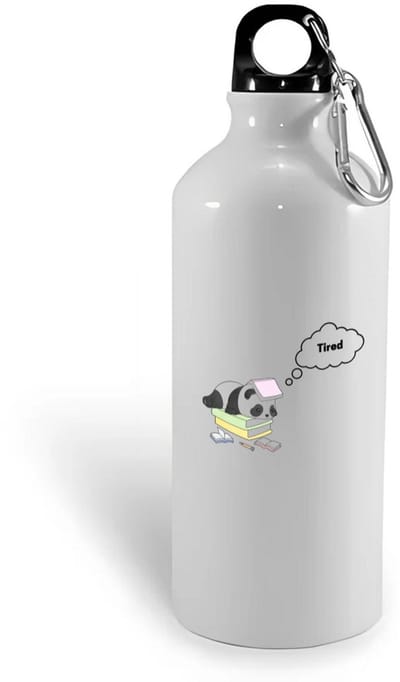Hacebo® - tired panda waterfles - Panda - panda liefhebbers - panda die ligt op een stapel boeken - verjaardag - dieren liefhebbers - cadeau - kado - geschenk - verjaardagscadeau - water fles - 400ML