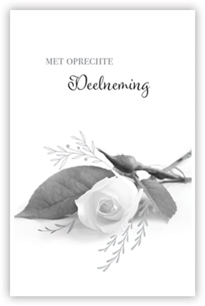 Condoleance kaart "Liggende witte roos"