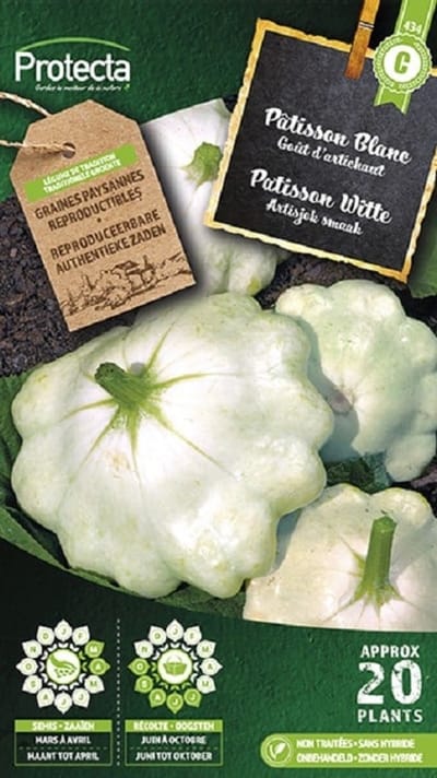 Protecta Groente zaden: Patisson Witte