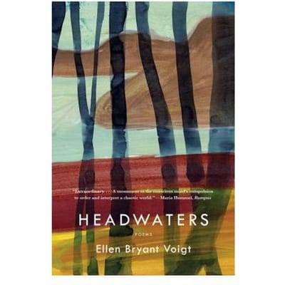 Headwaters - Voigt, Ellen Bryant