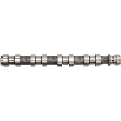Nokkenas  AE CAM1023