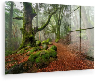 ® Glasschilderij 180x120 cm - Schilderij acrylglas - Rotsen en bomen in de bergen van Santa Cruz Californië - Foto op glas - Muurdecoratie woonkamer - Wanddecoratie slaapkamer - Schilderijen