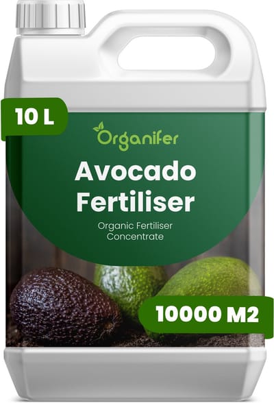 Vloeibare Meststof Voor Avocado 10 L Voor 10000 M2 - Npk 2-1-8 - Avocadobomen - Krachtige Groei - Sterke Takken - Bladgezondheid - Kleurintensiteit - Kroonontwikkeling - Sterk Wortelstelsel - Nutriëntenopname - Herstel Na Snoei - Organifer