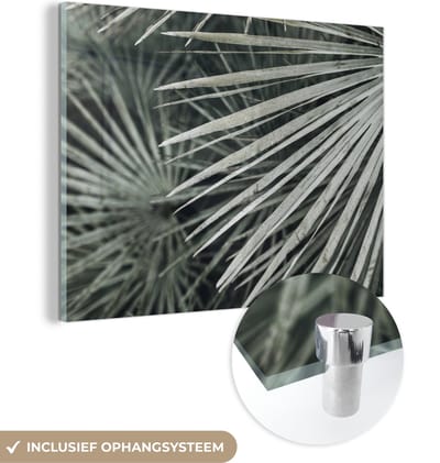 MuchoWow® Glasschilderij 120x90 cm - Schilderij acrylglas - Bladeren - Groen - Palm - Foto op glas - Schilderijen