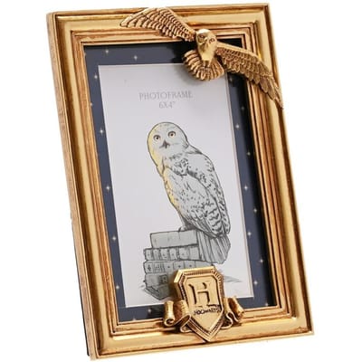 Harry Potter Hedwig Unisex Decoratieve Artikelen - goudkleurig - Standard