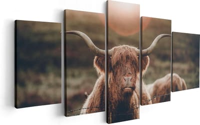 Artaza Canvas Schilderij Vijfluik Schotse Hooglander Koe In De Zon - 100x50 - Foto Op Canvas - Canvas Print