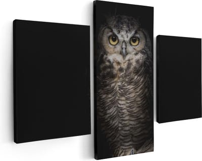 Artaza Canvas Schilderij Drieluik Uil Op Een Tak In De Nacht - 90x60 - Foto Op Canvas - Canvas Print