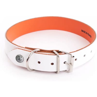 Hondenhalsband Martin Sellier Allure