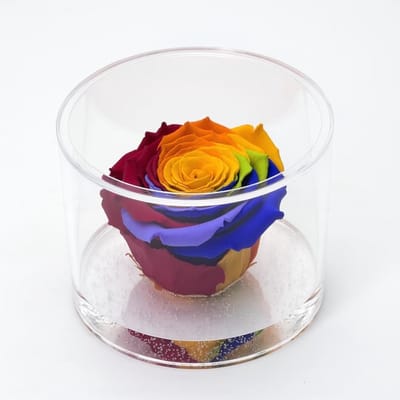 Eeuwige Roos in Ronde Geschenkdoos (9 cm) - Meerkleurig, Geurend en Gestabiliseerd Cadeau