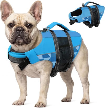 Hondenreddingsvest - Zwemvest hond - Veilig zwemmen - Met handvat - Maat M - Blauw
