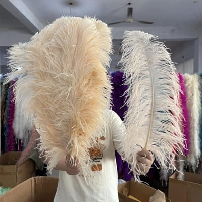 10 STUKS Licht Kaki Grote Struisvogelveren Bulk 15-60CM Lang Natuurlijke Pluizige Struisvogelveren voor Bruiloft Restaurant Vaas Decoratie 15-20cm 6-8inch champagne