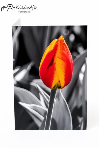 Condoleance wenskaart (A6) – Tulp kaart met warme deelneming | Kleintje Fotografie