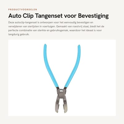 Dailygoods- Tangenset Roestvrij Staal - Auto Clip Bevestiging - Verwijderaar Sierlijst - Hefboom Reparatieset - Opbergtas - Duurzaam en Handig - Gereedschapset