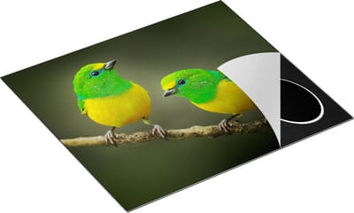 Chefcare Inductie Beschermer Twee Groen Gele Zangvogels op een Tak - 60x50 cm - Afdekplaat Inductie - Kookplaat Beschermer - Inductie Mat