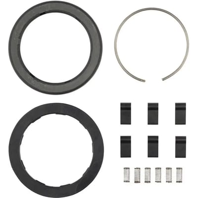 Ratchet-/veerkit voor naaf Zipp ZR1 (x6)