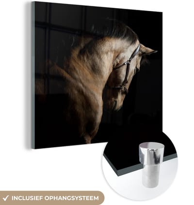 MuchoWow® Glasschilderij 50x50 cm - Schilderij acrylglas - Paarden - Halster - Zwart - Foto op glas - Schilderijen