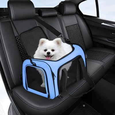 Huisdier Transporttas - Reistas Kat Hond - Veilig Vervoer - Ademend Mesh Materiaal - 40x25x25 cm - Blauw