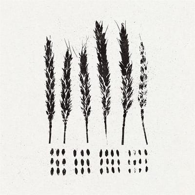 Lo! - The Gleaners (CD)
