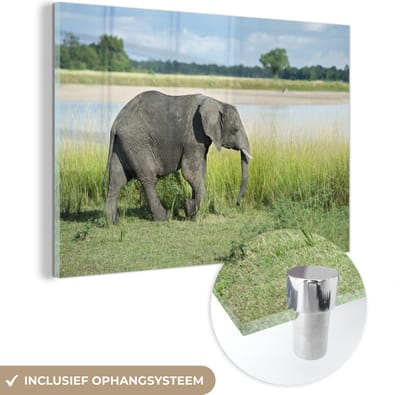 ® Glasschilderij 180x120 cm - Schilderij acrylglas - Een olifant loopt langs de rivier in het Nationaal park South Luangwa - Foto op glas - Muurdecoratie woonkamer - Wanddecoratie slaapkamer - Schilderijen