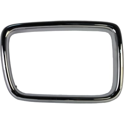 Sierlijst/beschermstrip, radiatorrooster BLIC 6502-07-0057998P