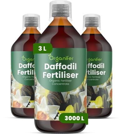 Vloeibare Meststof Voor Narcis 3X1 L Voor 3000 L - Npk 3-4-3 - Krachtige Groei - Bevordert Sterke Bolontwikkeling - Vergroot Bloemgrootte - Versterkt Wortels - Bevordert Langdurige Bloei - Verhoogt Weerbaarheid - Organifer