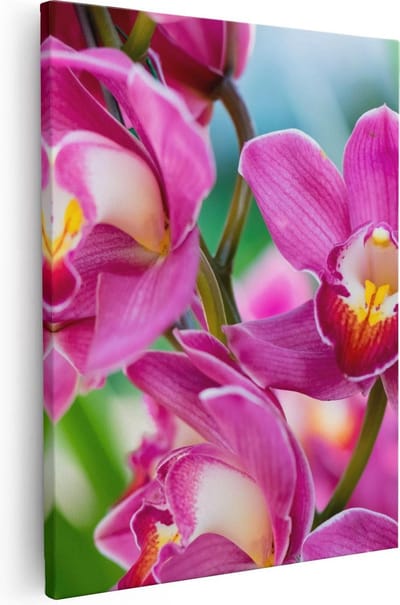 Artaza Canvas Schilderij Bloemen - 40x50 cm - Wanddecoratie Orchidee - Muurdecoratie Stilleven - Kamer Accessoires