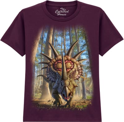 KIDS Dino Styracosaur The Coloured House KIDS T-shirt XL