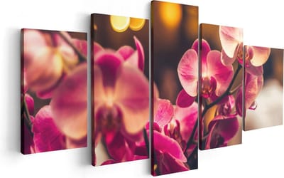 Artaza Canvas Schilderij Vijfluik Roze Orchidee Bloemen - 100x50 - Foto Op Canvas - Canvas Print
