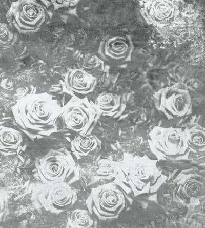 Fotobehang - Roses Abstract II 225x250cm - Vliesbehang