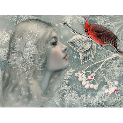 Peinture Diamant Foret Strass Fait Main Broderie Fille et Oiseau Rouge Images Broderie Diamant 20X30CM gray