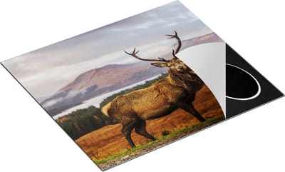 Chefcare Inductie Beschermer Hert in de Bossen - 60x50 cm - Afdekplaat Inductie - Kookplaat Beschermer - Inductie Mat