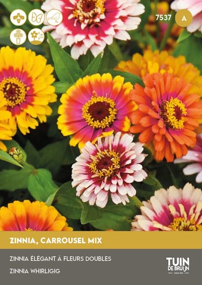Zinnia Zaden Caroussel Mix – Zomerbloemen voor Tuin of Balkon – Geschikt als Snijbloem – ±100 Bloemzaden - Tuin de Bruijn® zaden