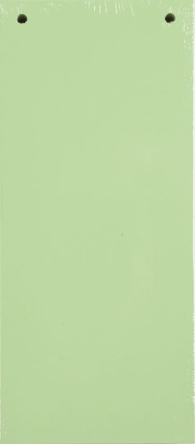 Exacompta 12x Pak van 100 horizontale tabstroken met perforatie 180g - 105x240mm - Groen - 13345B