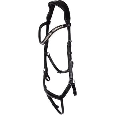 Anatomische hoofdstellen HV Polo Legacy deluxe