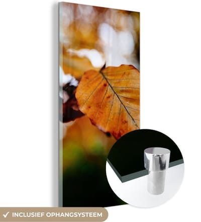 MuchoWow® Glasschilderij 20x40 cm - Schilderij acrylglas - Beuk - Herfst - Bladeren - Foto op glas - Schilderijen